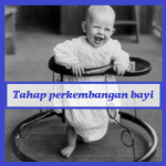 Tahap perkembangan bayi