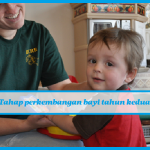 Tahap perkembangan bayi tahun kedua