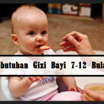 Kebutuhan Gizi Bayi Usia 7-12 Bulan